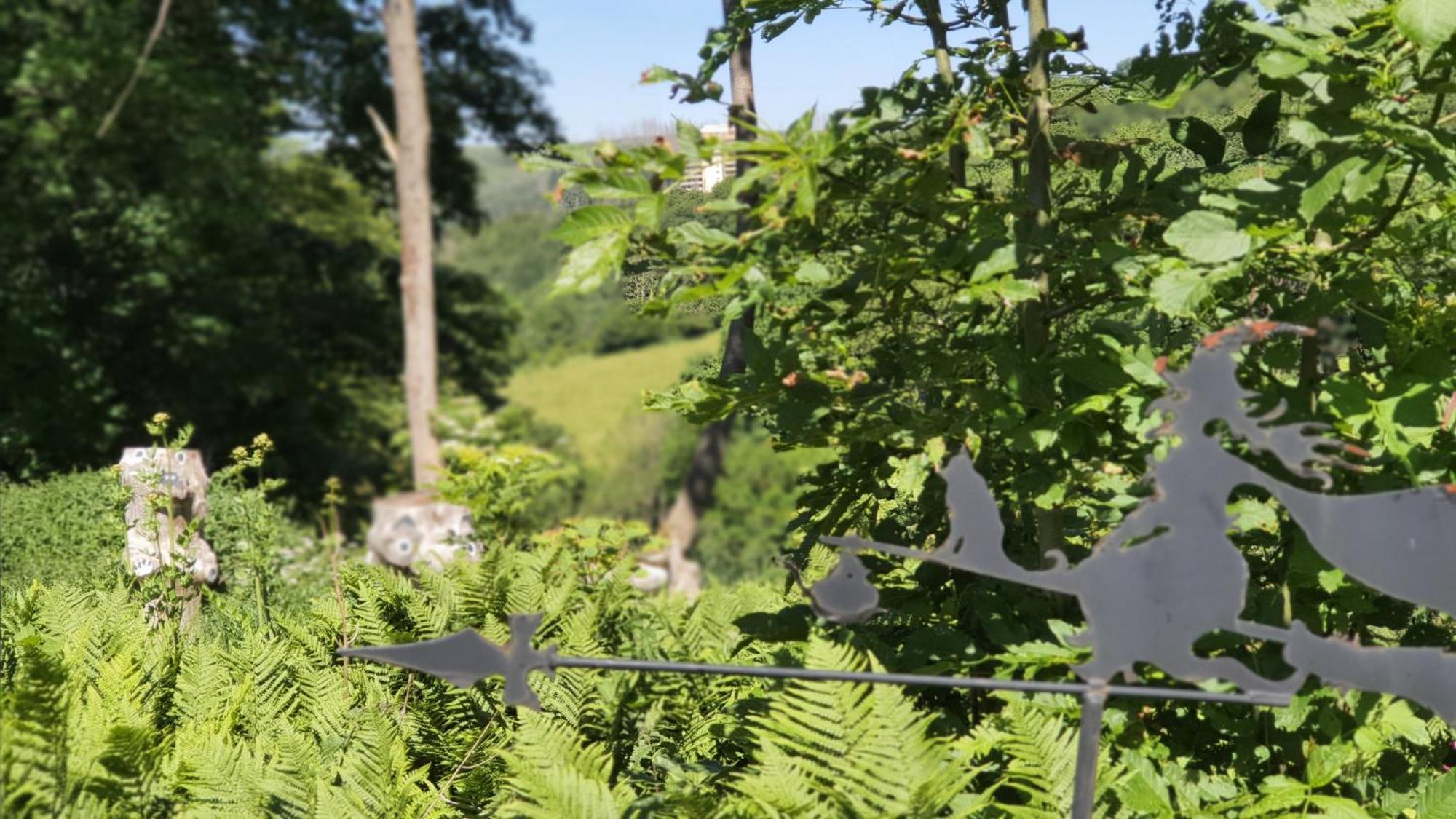 Hotel Schneiderhof Braunlage Luaran gambar