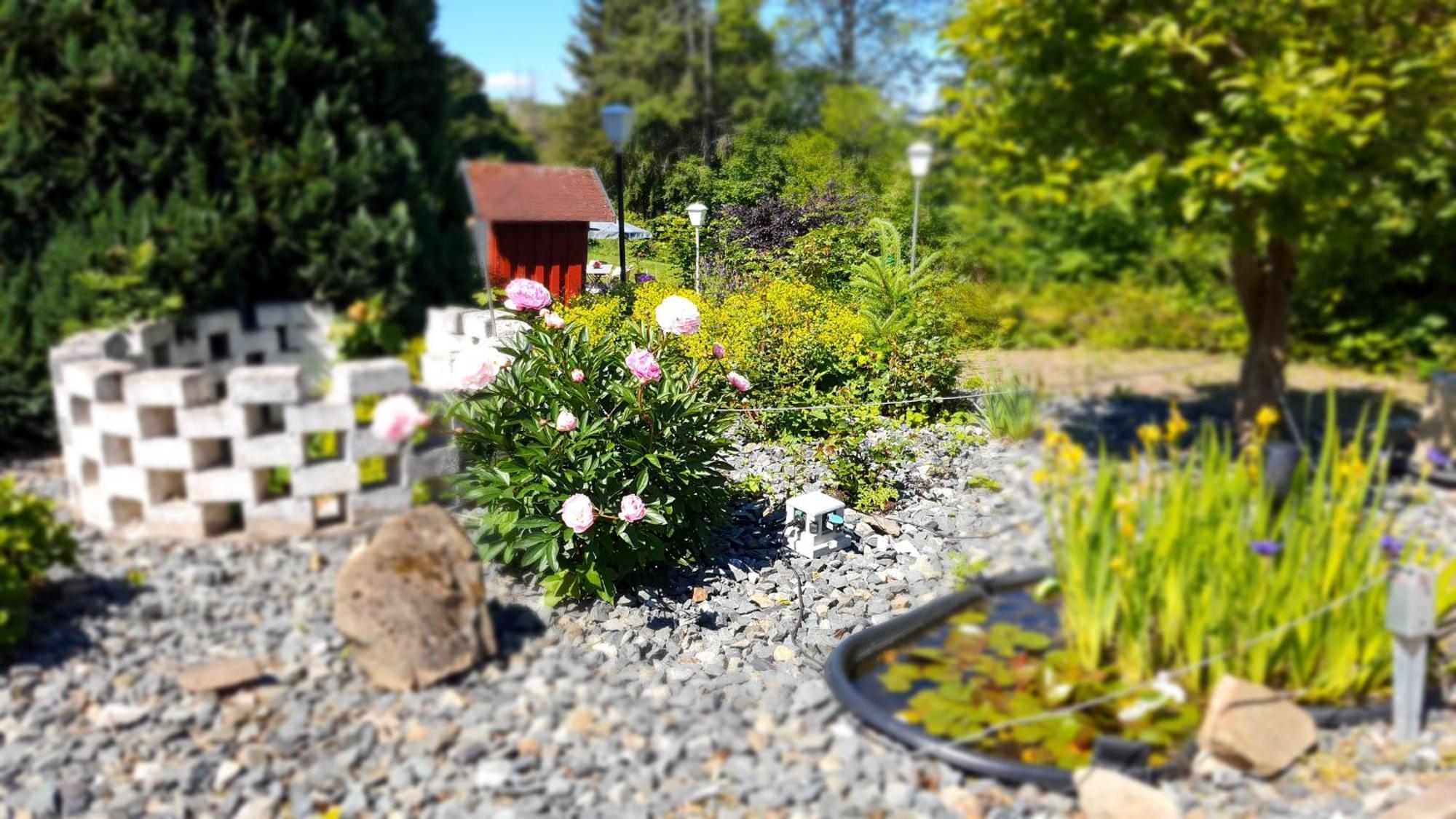 Hotel Schneiderhof Braunlage Luaran gambar